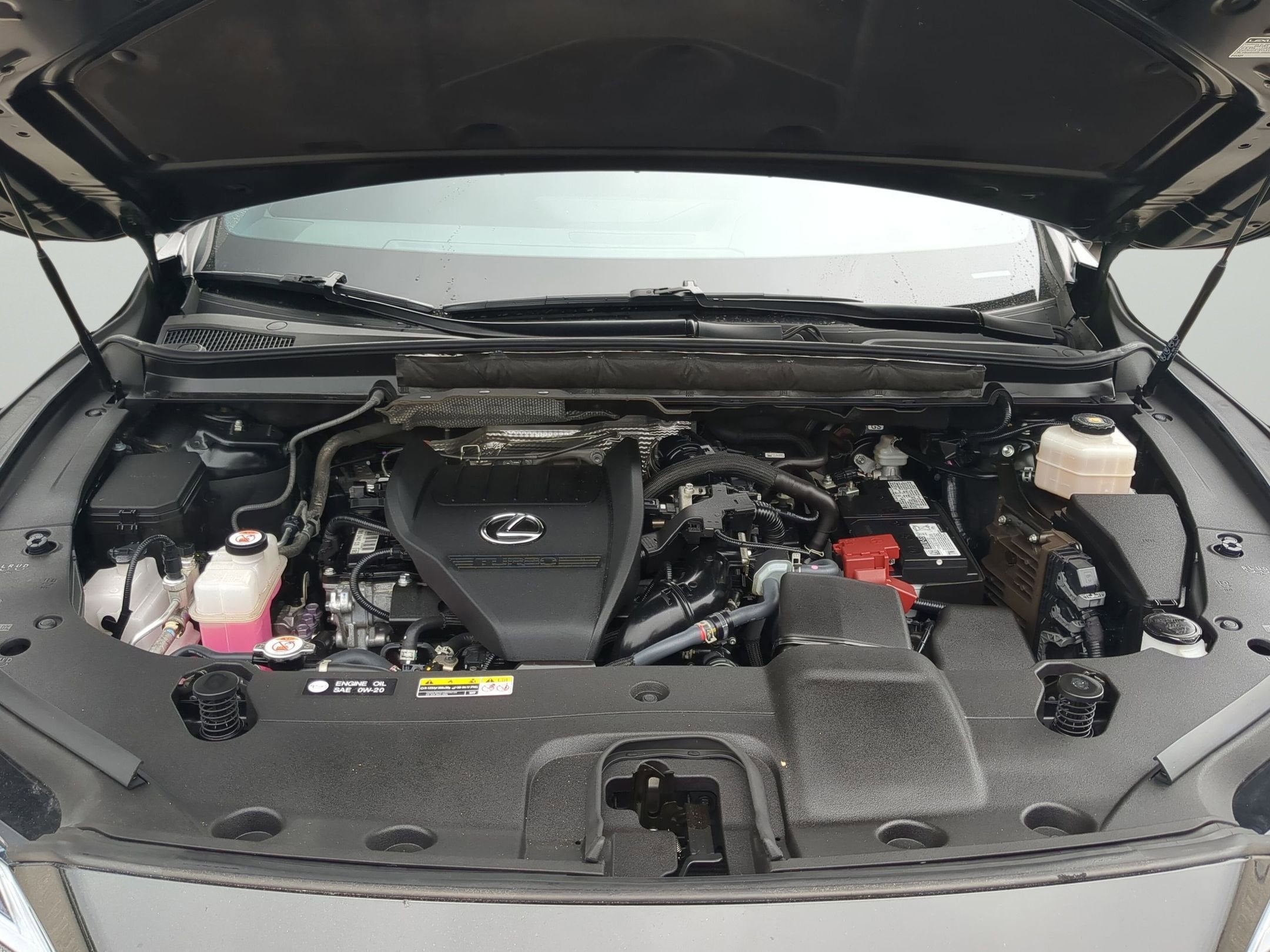 2024 Lexus RX 350 Premium Plus